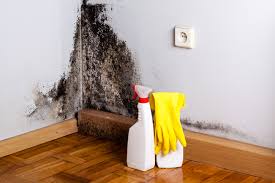 Best Comprehensive Air Testing for Mold Contaminants  in Penn Estates, PA